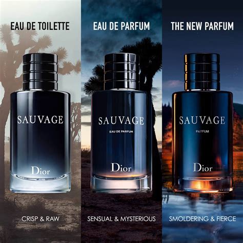 sauvage dior impression|Dior Sauvage women.